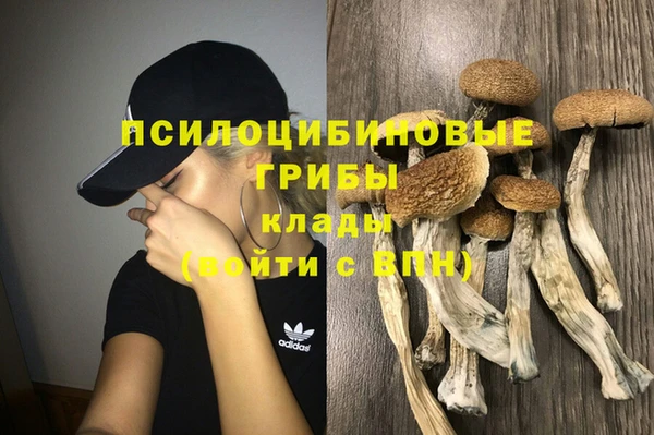 гашик Зеленодольск
