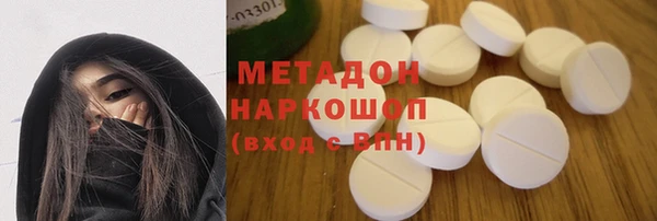 индика Алексин