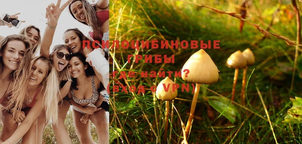 а пвп мука Алексеевка