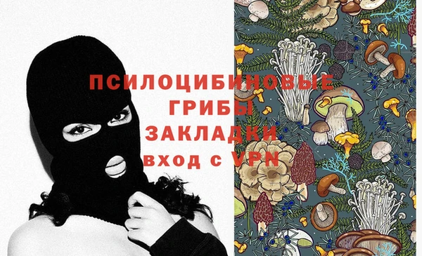 индика Алексин