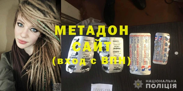 индика Алексин