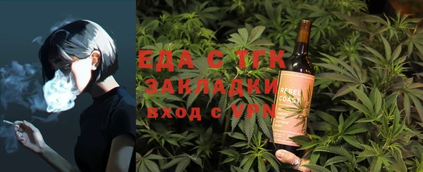индика Алексин