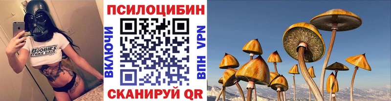 Галлюциногенные грибы Psilocybine cubensis Электрогорск